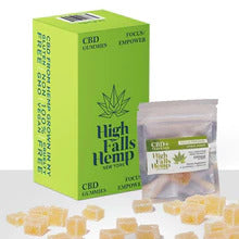 Gummies, Focus, Empower, Citrus Ginger - Full Spectrum from High Falls