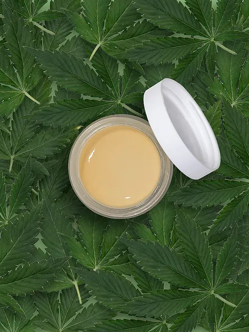 CBG Face Cream - Four Winds Farms